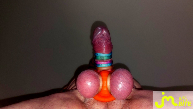 bites de Vxmâlebi46