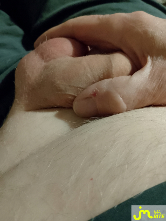 bites de Veys 59