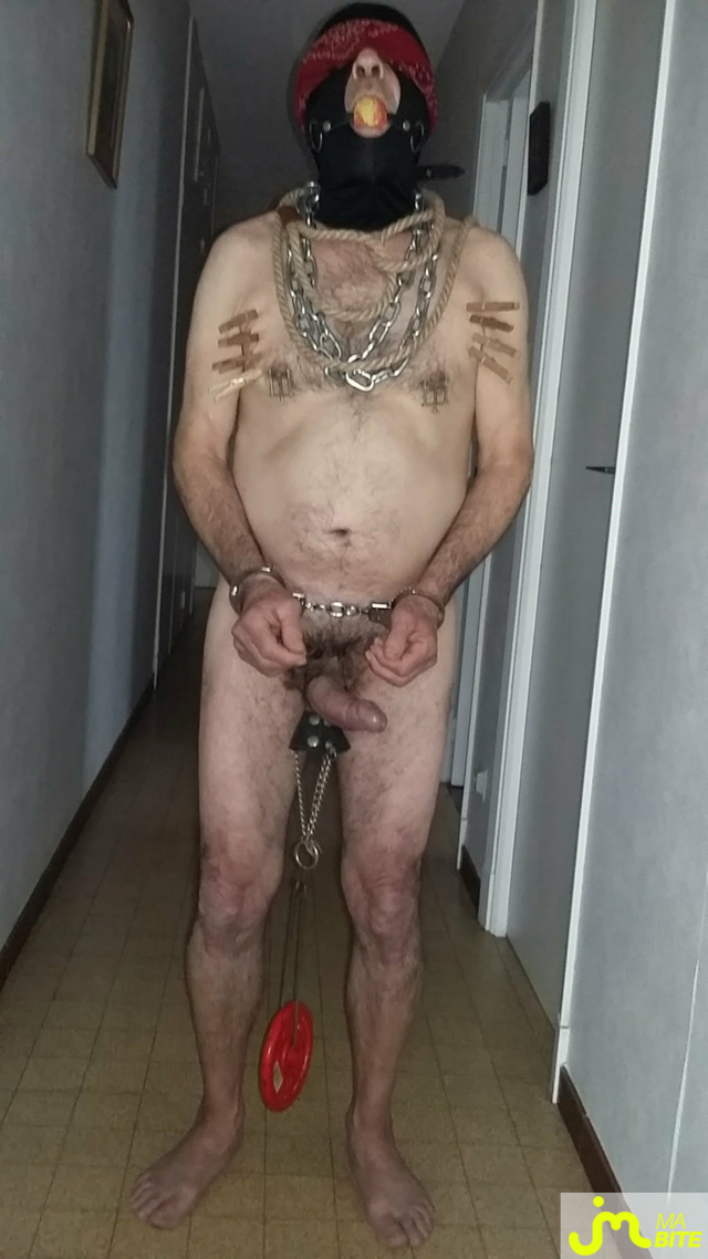 bites de charlotin
