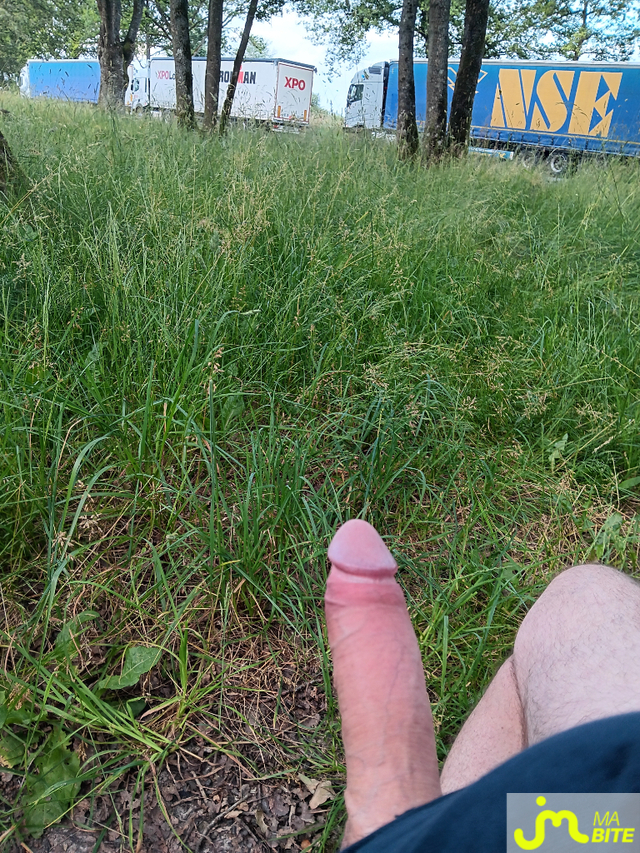bites de Tigre+20