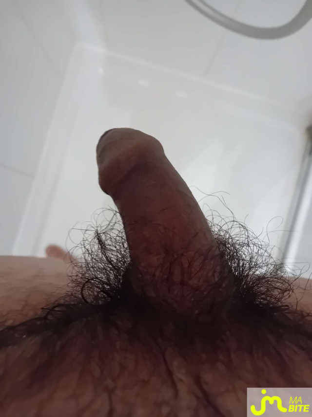bites de metisseboy