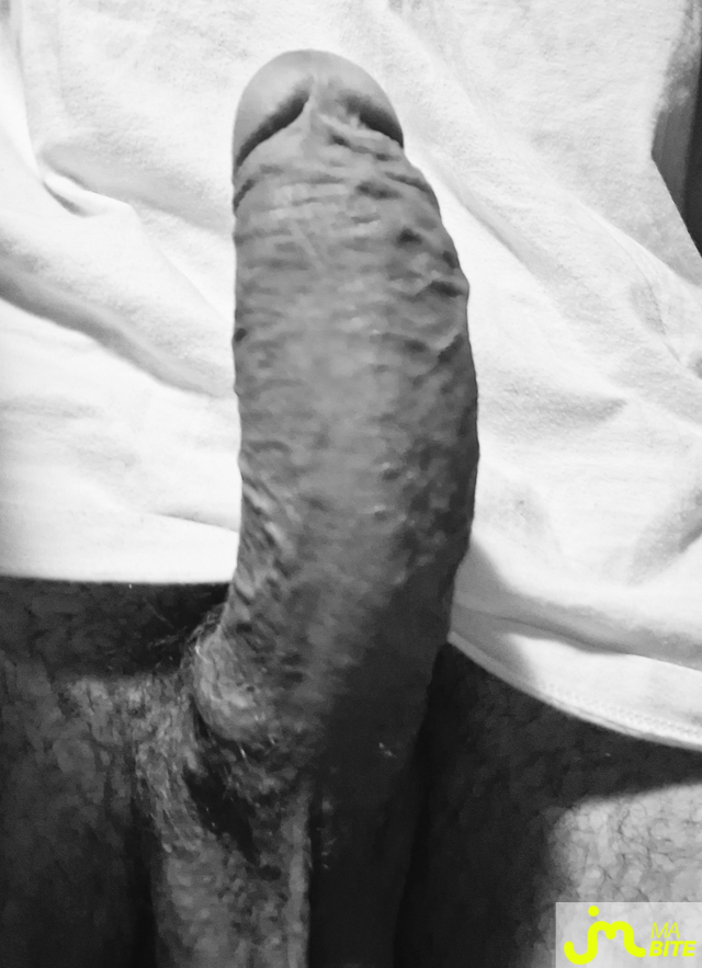 bites de 4plaisir66