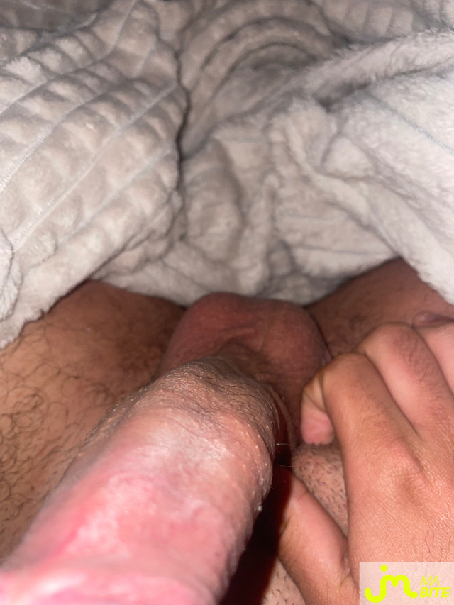 bites de Sergio_+
