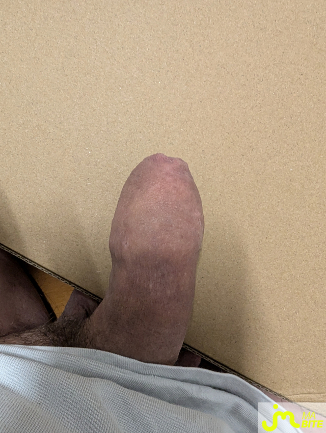bites de Tate60