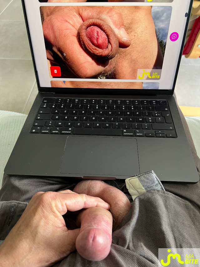 bites de vertvif