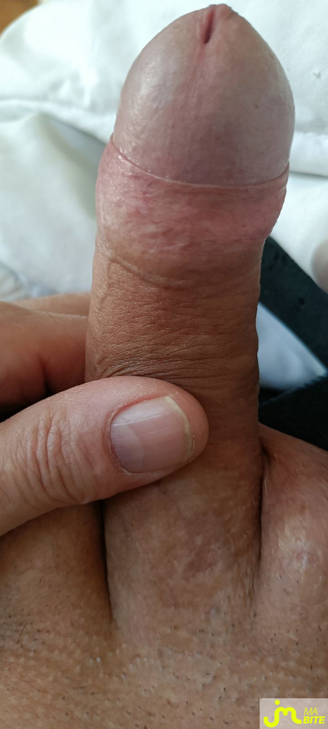 bites de scoubi59
