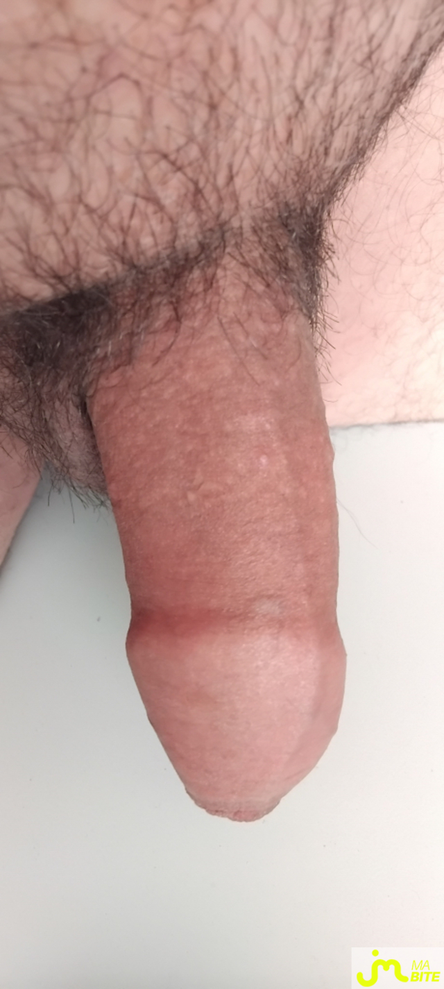 bites de Couple calins