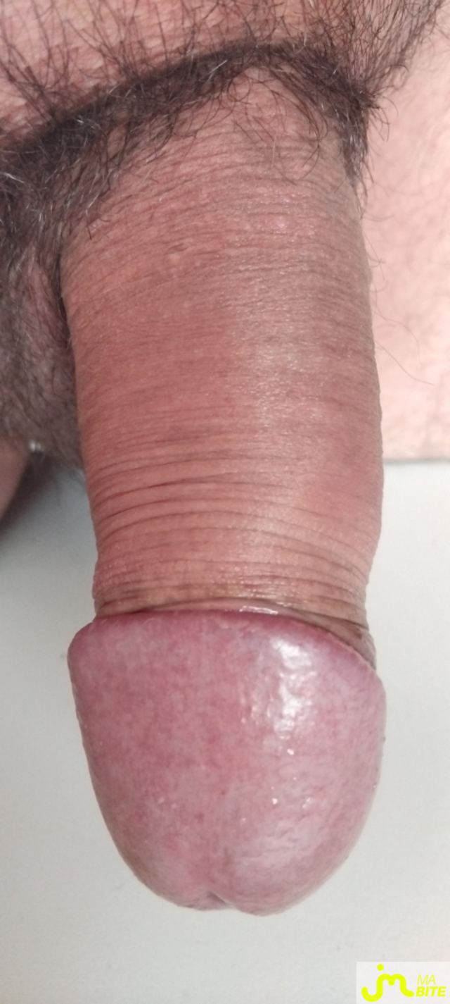 bites de Couple calins