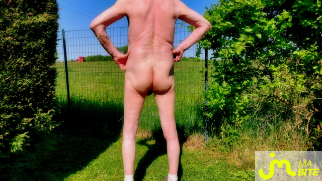 bites de Vxmâlebi46