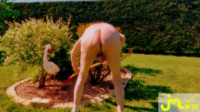 bites de Vxmâlebi46