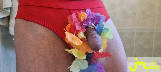 bites de scatochris