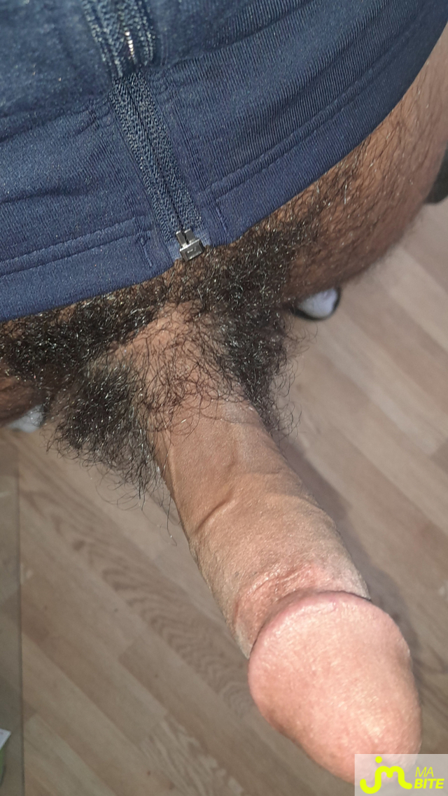 bites de Metis1246