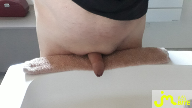 bites de bibi38