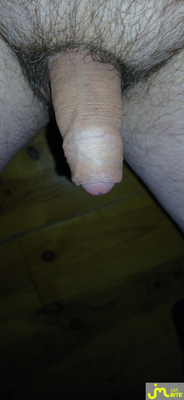 bites de MAX068