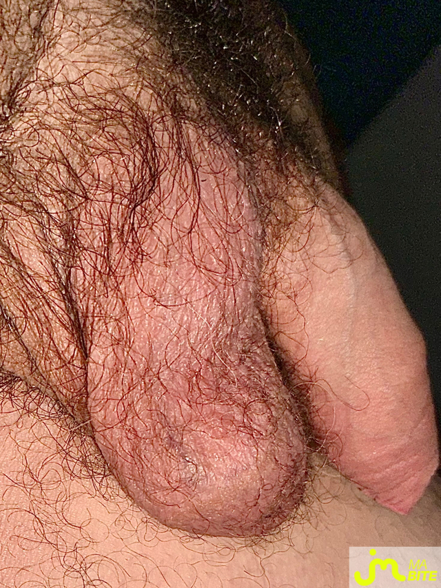 bites de Couplenature