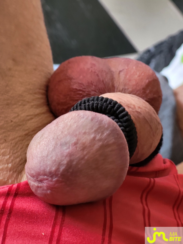 bites de AlainYves13