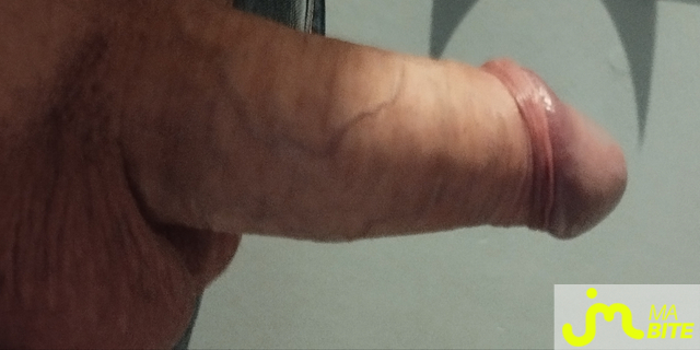 bites de 85B