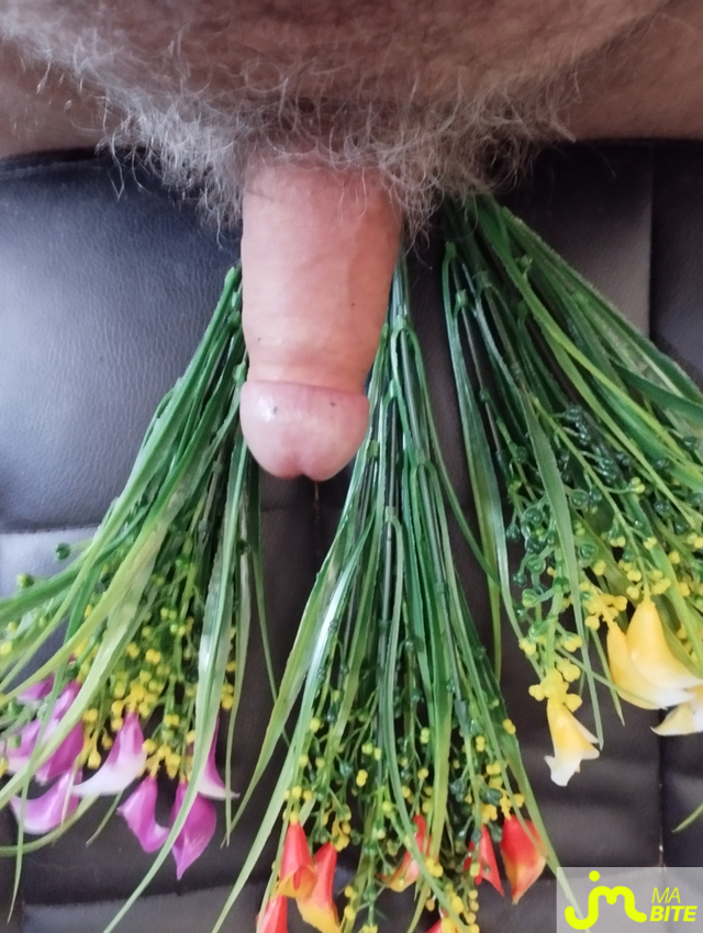 bites de coucouniette
