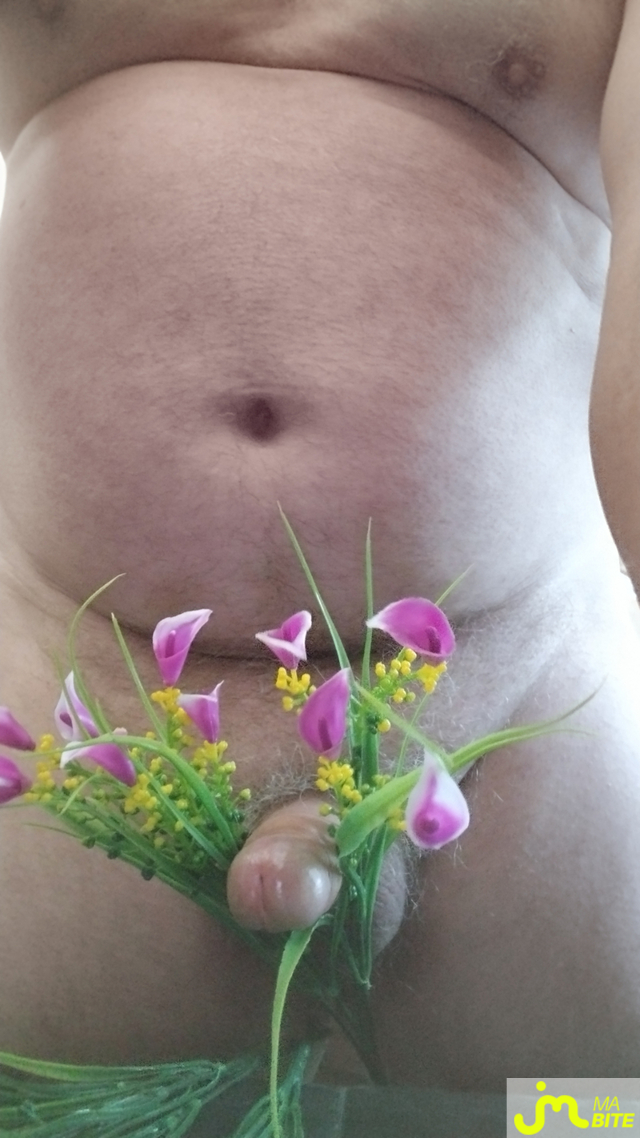 bites de coucouniette