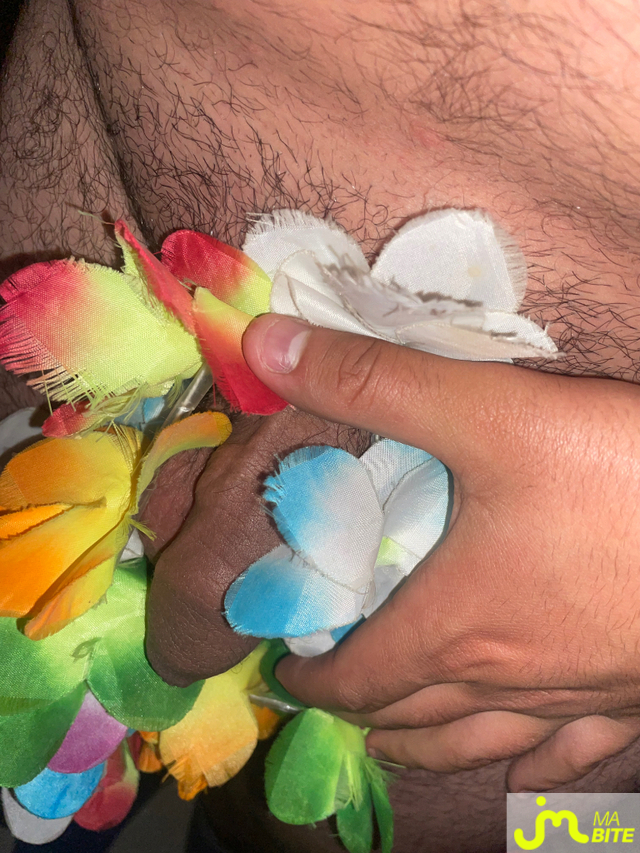 bites de Sergio_+