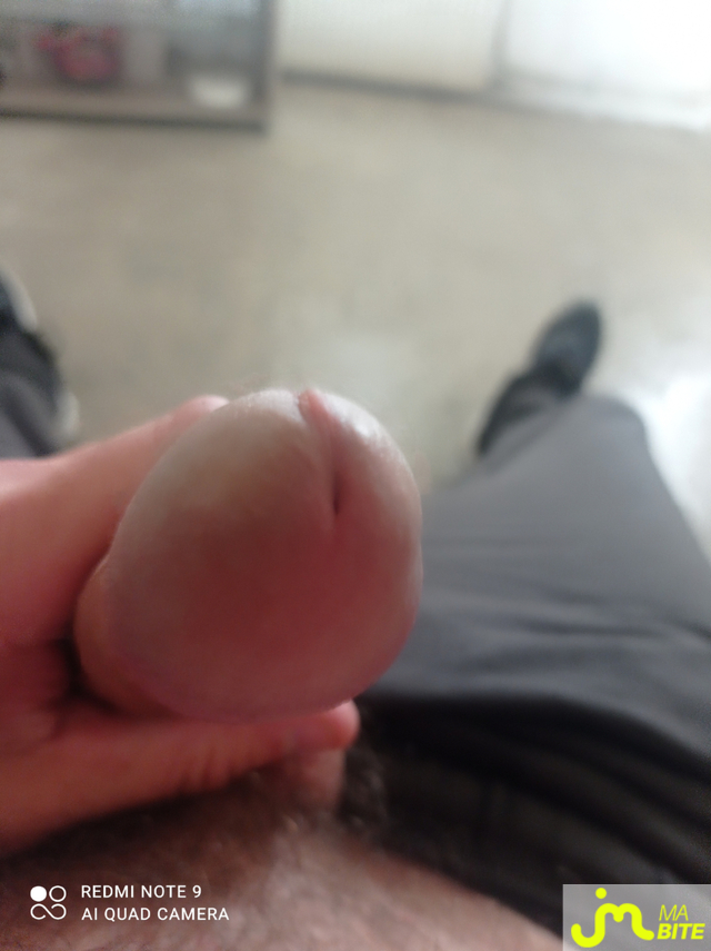 bites de kisdec