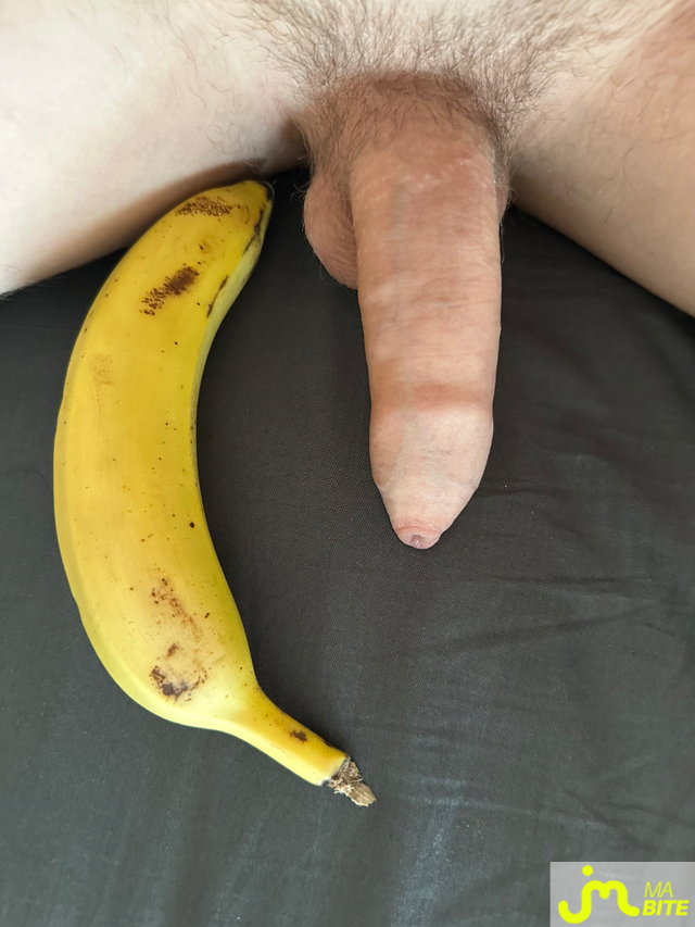 bites de Zeub73