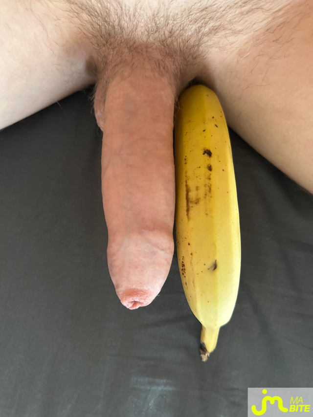 bites de Zeub73