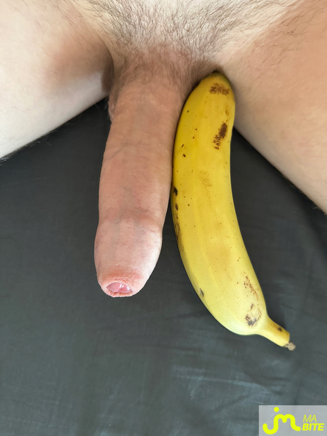 bites de Zeub73
