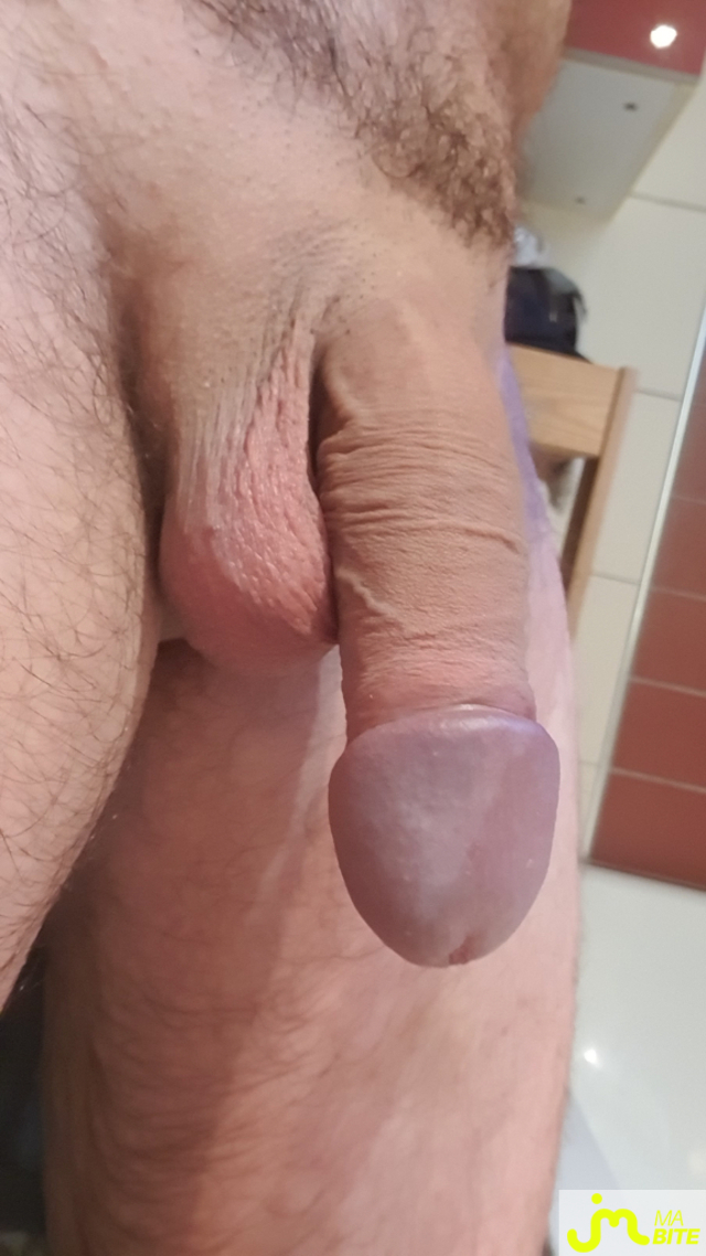 bites de Goliath4481