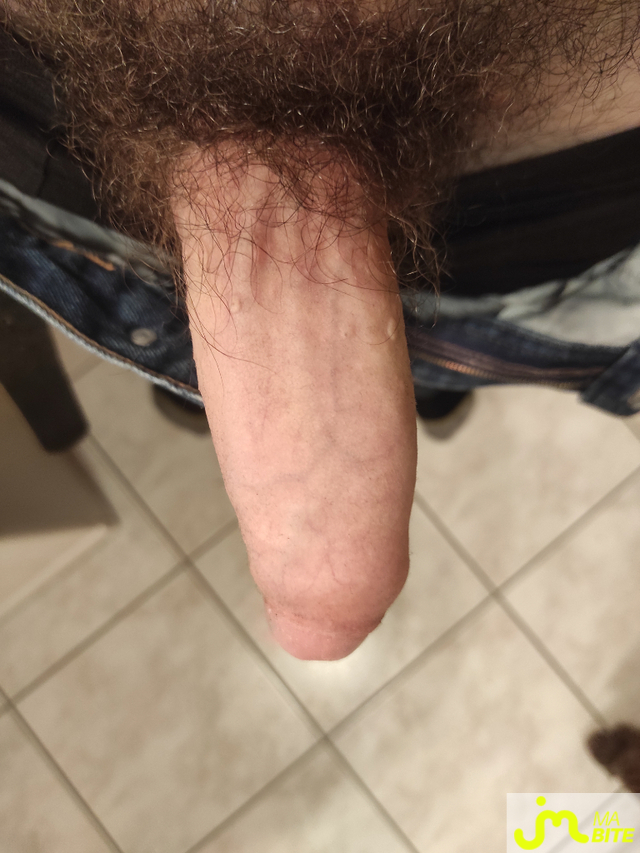 bites de hestd