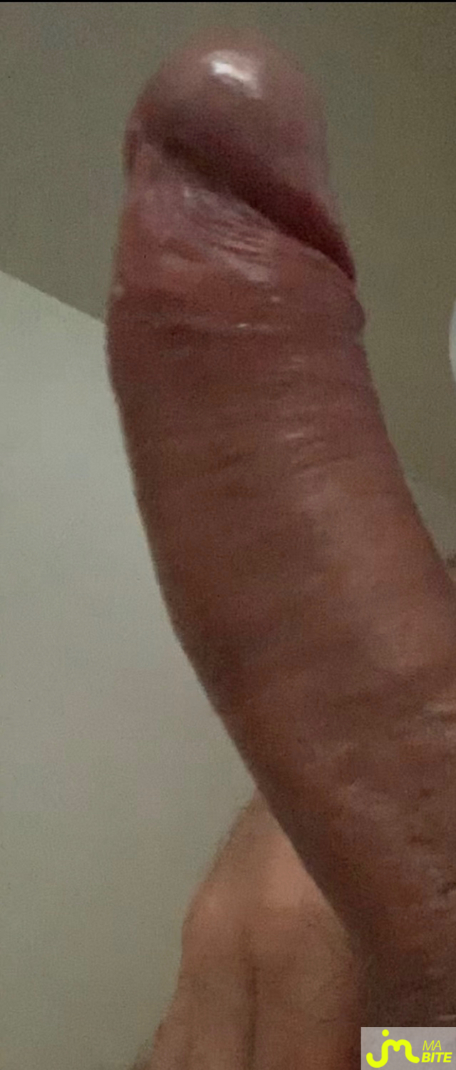 bites de Stud0410
