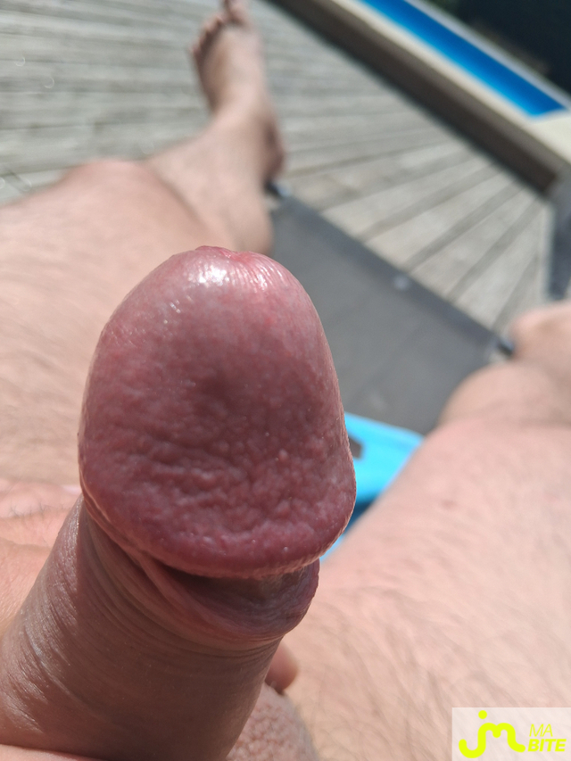 bites de Seb34260