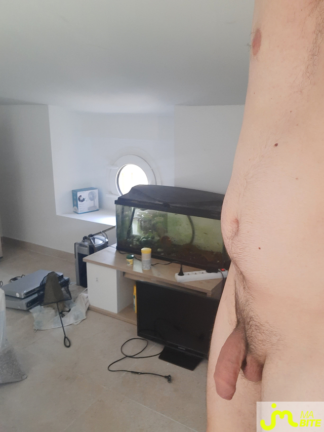 bites de Floflo83200