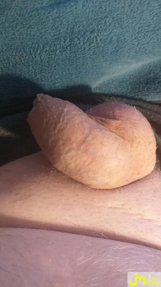 bites de Veys 59