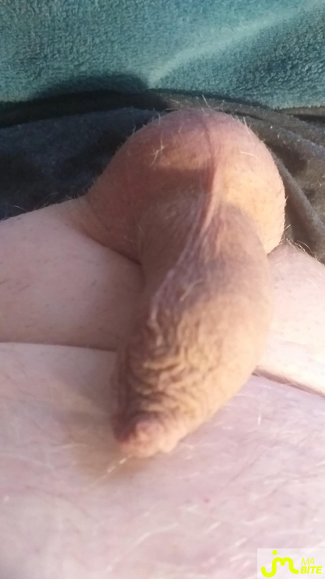 bites de Veys 59