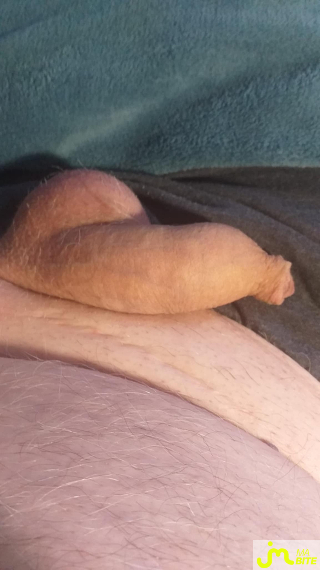bites de Veys 59