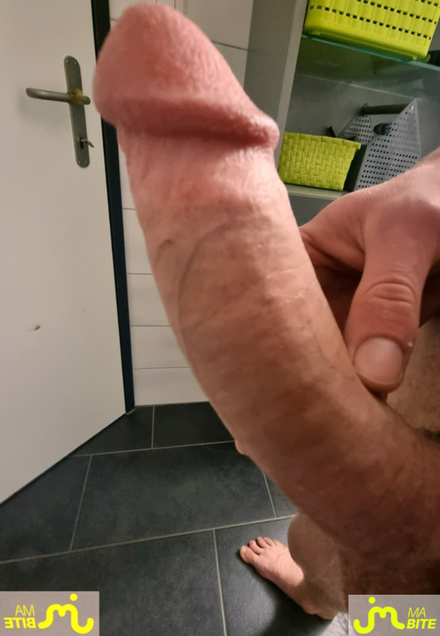 bites de T-rex25