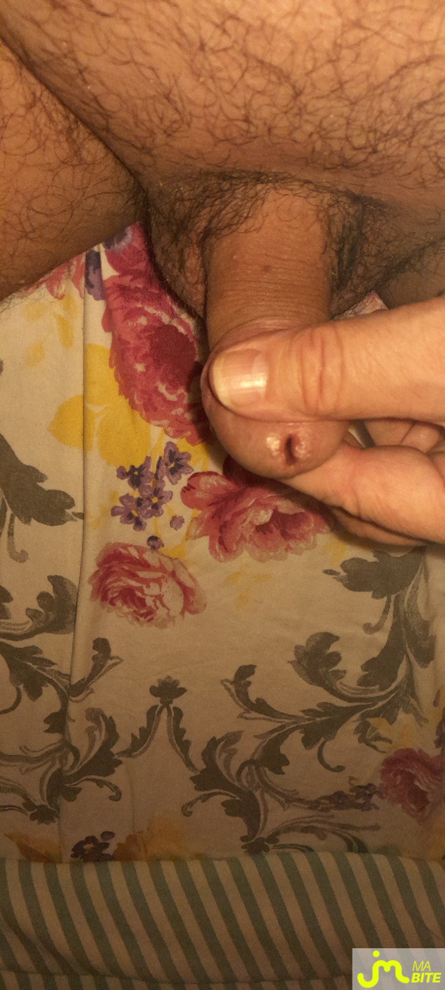 bites de Paris753