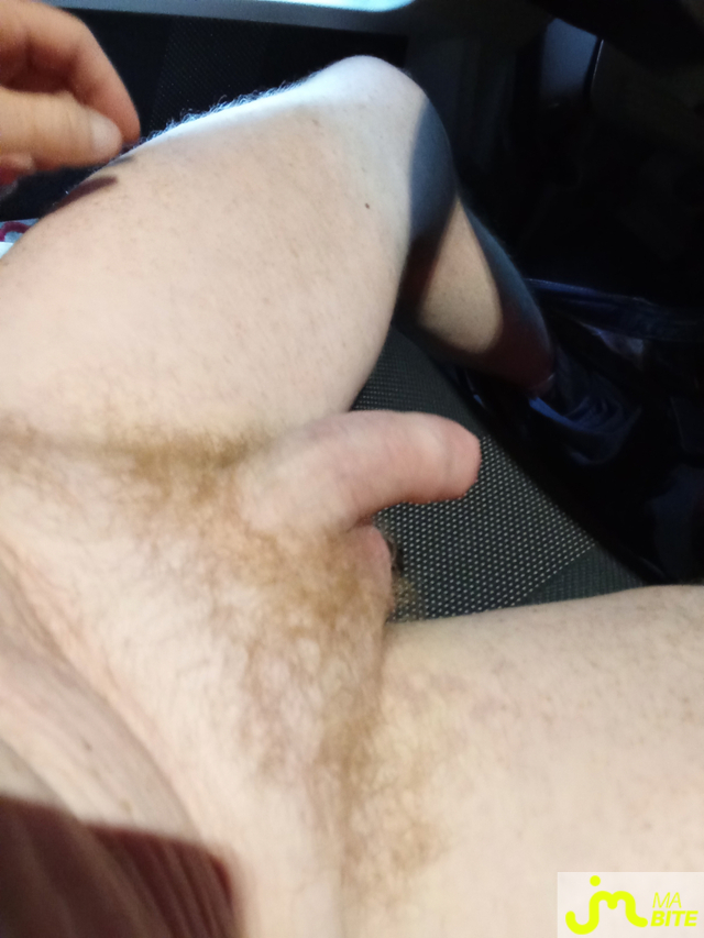 bites de Sebouille44