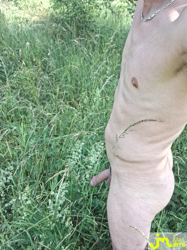 bites de Naturist54