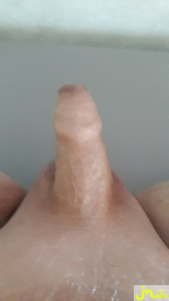 bites de bibi38