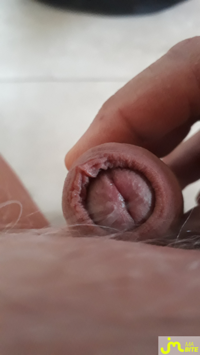 bites de bibi38