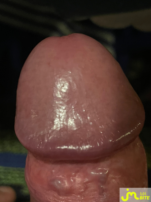 bites de Odul2