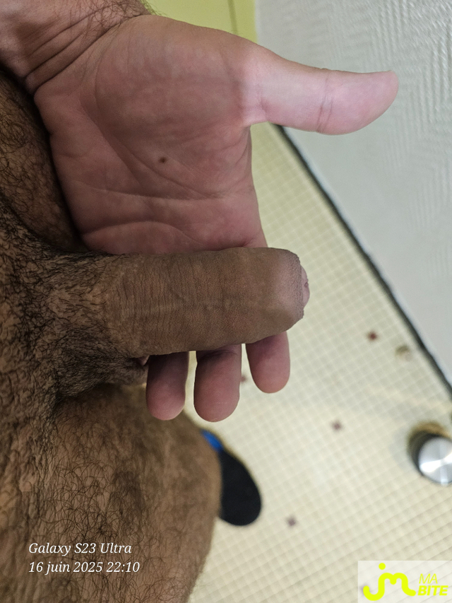 bites de Bitenfurie