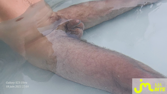 bites de Bitenfurie