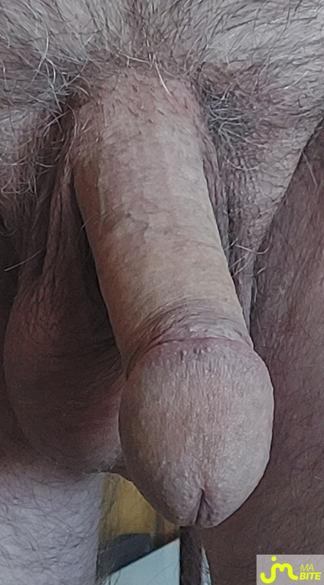 bites de TLE19