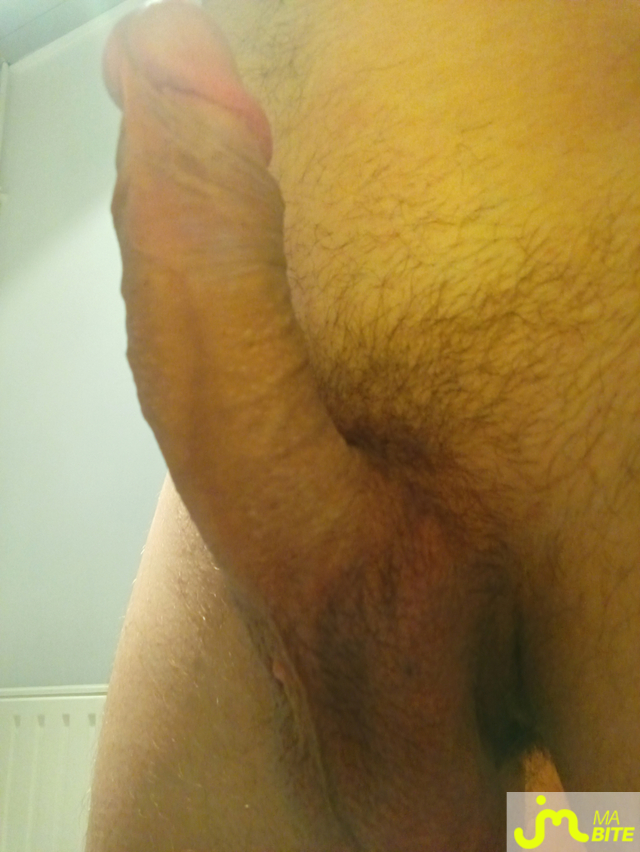 bites de Pok02