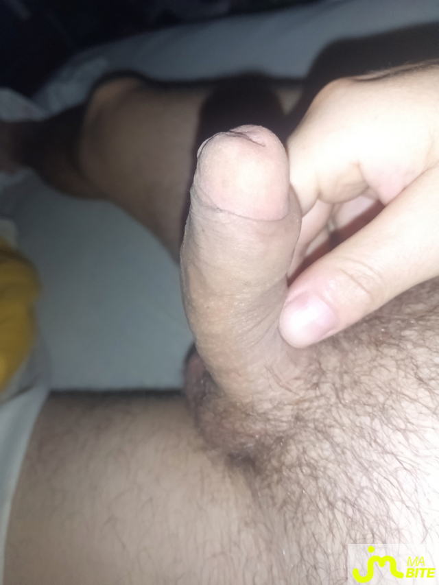 bites de Pok02