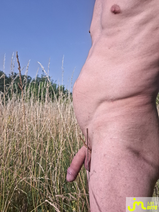 bites de Naturist54