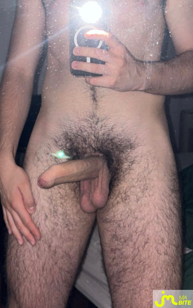 bites de bstn90
